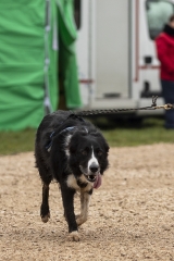 IMG_5182