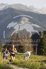 7503