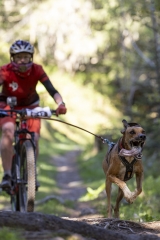 (7 Laux 2025)Cani-VTT