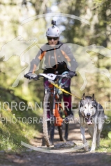 2225