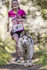 3577