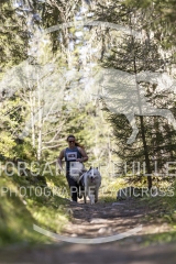 4021