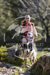 6151