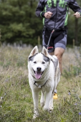 _MG_3298-Avec accentuation-NR