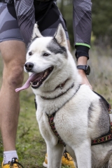 _MG_3299-Avec accentuation-NR