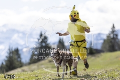 6738