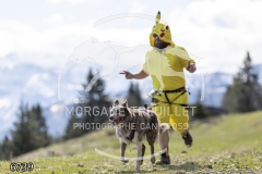 6739