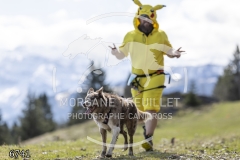 6741
