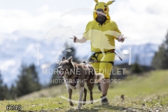 6743