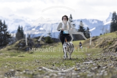 6753