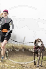 7397