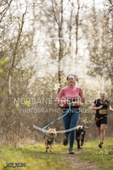 _MG_2104