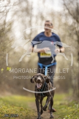 _MG_2264