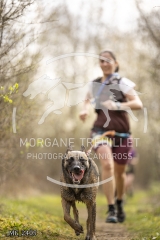 _MG_2405
