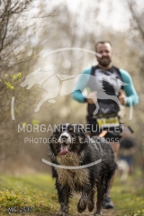_MG_2537