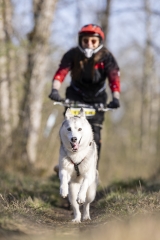 (Blyes 2025)2 roues