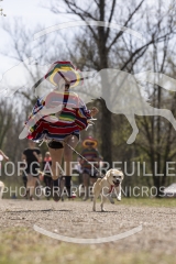 4373