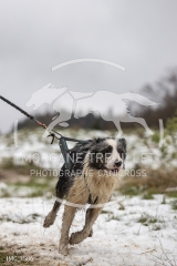 IMG_3586