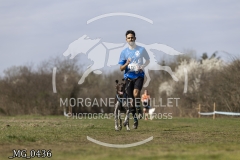 _MG_0436