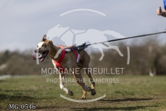 _MG_0546