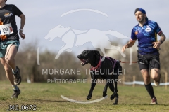_MG_0672