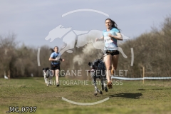 _MG_0737