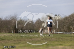 _MG_0927