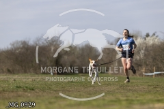 _MG_0929