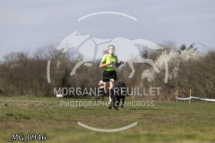 _MG_0946