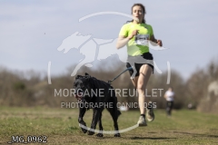 _MG_0962