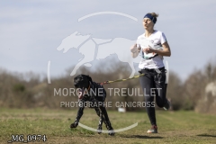 _MG_0974