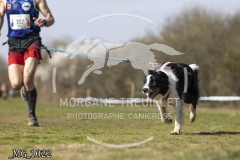 _MG_1022