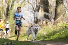 _MG_2954