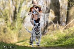 _MG_3021