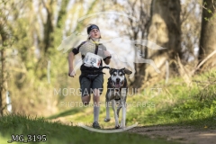 _MG_3195