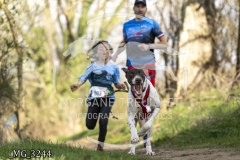 _MG_3244