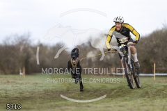 5313