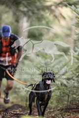 7515