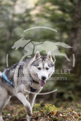 7738