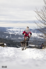 8142