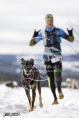 _MG_0064