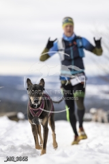 _MG_0065