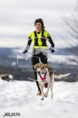 _MG_0174