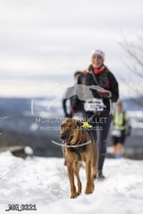 _MG_0221