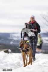 _MG_0223
