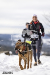_MG_0231