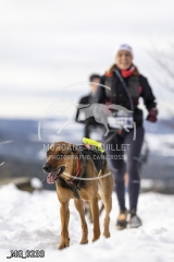 _MG_0233