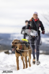 _MG_0234