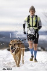 _MG_0254