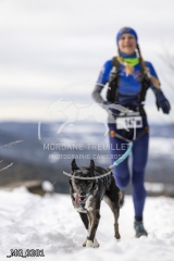 _MG_0281